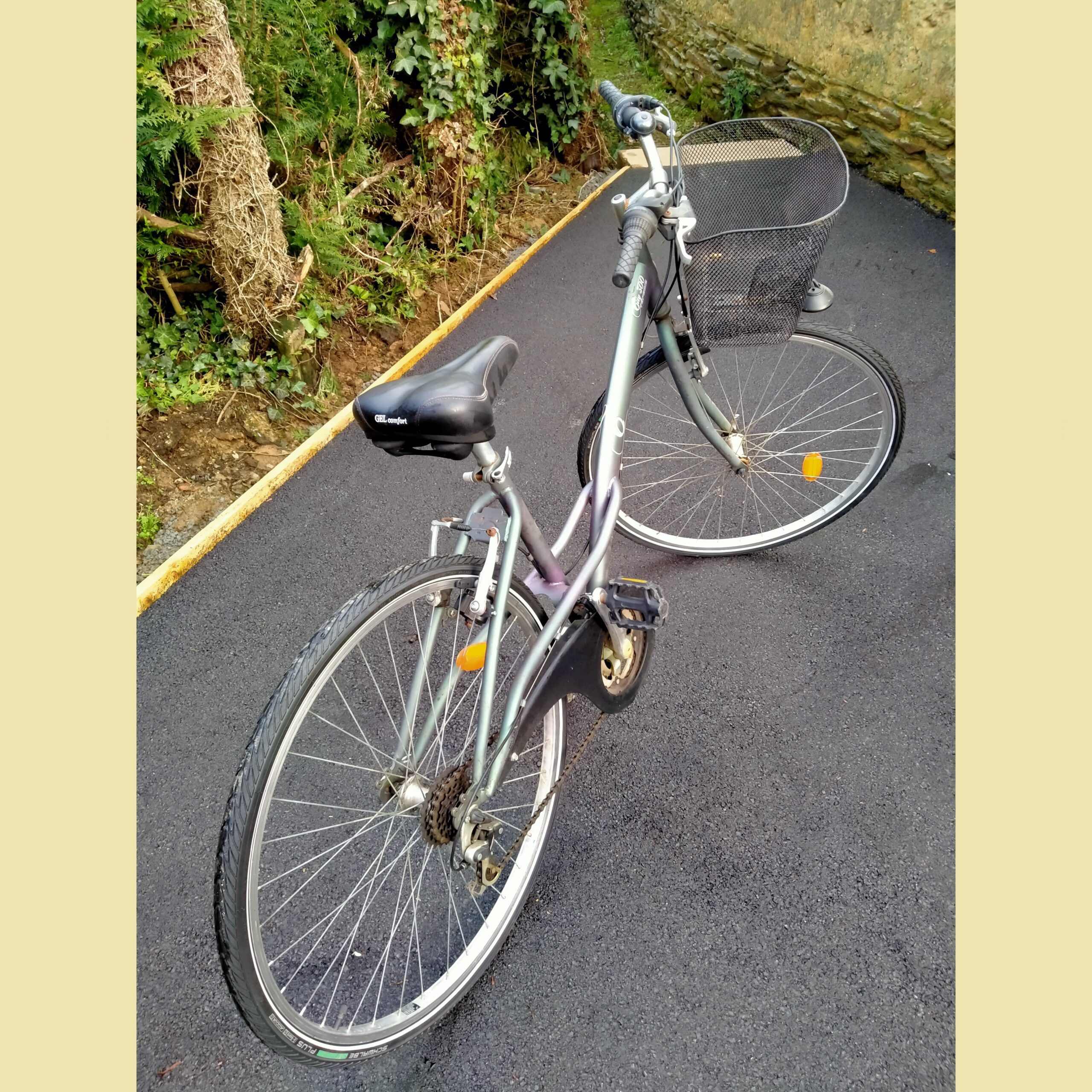 Topbike city 300 hotsell
